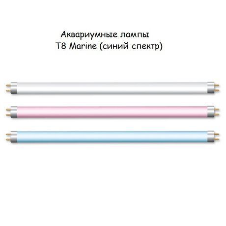Лампа Т8 10W Marine (синяя / псевдоморе) для аквариума
