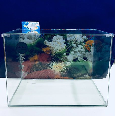 Нано аквариум Dolphin 43 литра (без оборудования)