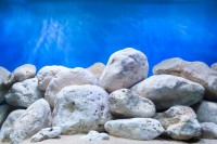 «Яркие камни» №010 фон пленка для аквариума двухсторонний (выс. 30 см)