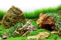 «Зеленое море» №011 фон пленка для аквариума двухсторонний (выс. 30 см)