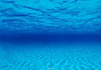 «Морская лагуна» №012 фон пленка для аквариума двухсторонний (выс. 30 см)