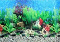 «Растительный мир» №001 фон пленка для аквариума двухсторонний (выс. 30 см)