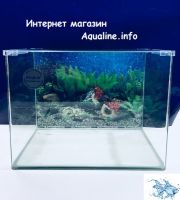 Нано аквариум Dolphin 31 литр (без оборудования)