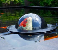 Плавающий купол кормушка для рыб Floating Fish Sphere Small