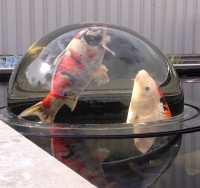 Плавающая сфера кормушка для рыб Floating Fish Sphere 